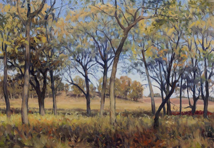 Copy of The Woods