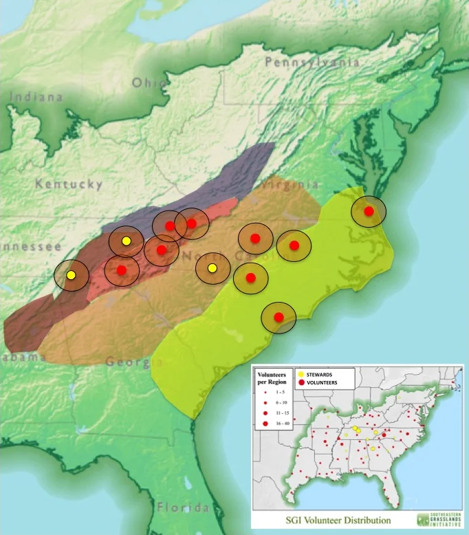 Map showing concept of how SGI will function at a regional level, here showing a focus on North Carolina. Colored polygons equal ecoregions (yellow=Atlantic Coastal Plain; orange=Piedmont; red=Blue Ridge Mountains; purple=central Ridge and Valley; dark red=southern Ridge and Valley). Volunteers will work in teams (red dots), or individually, and will work on grassland projects in their communities (larger orange circles). In time, each volunteer team will be guided by a Steward (also a volunteer position but one willing to take on a leadership/coordination role). So far, we have identified stewards for three communities (yellow dots) but in time all communities will be in need of a steward. Stewards may guide the work of one to several groups of volunteers. Stewards and their volunteer teams will work at local levels, within communities.