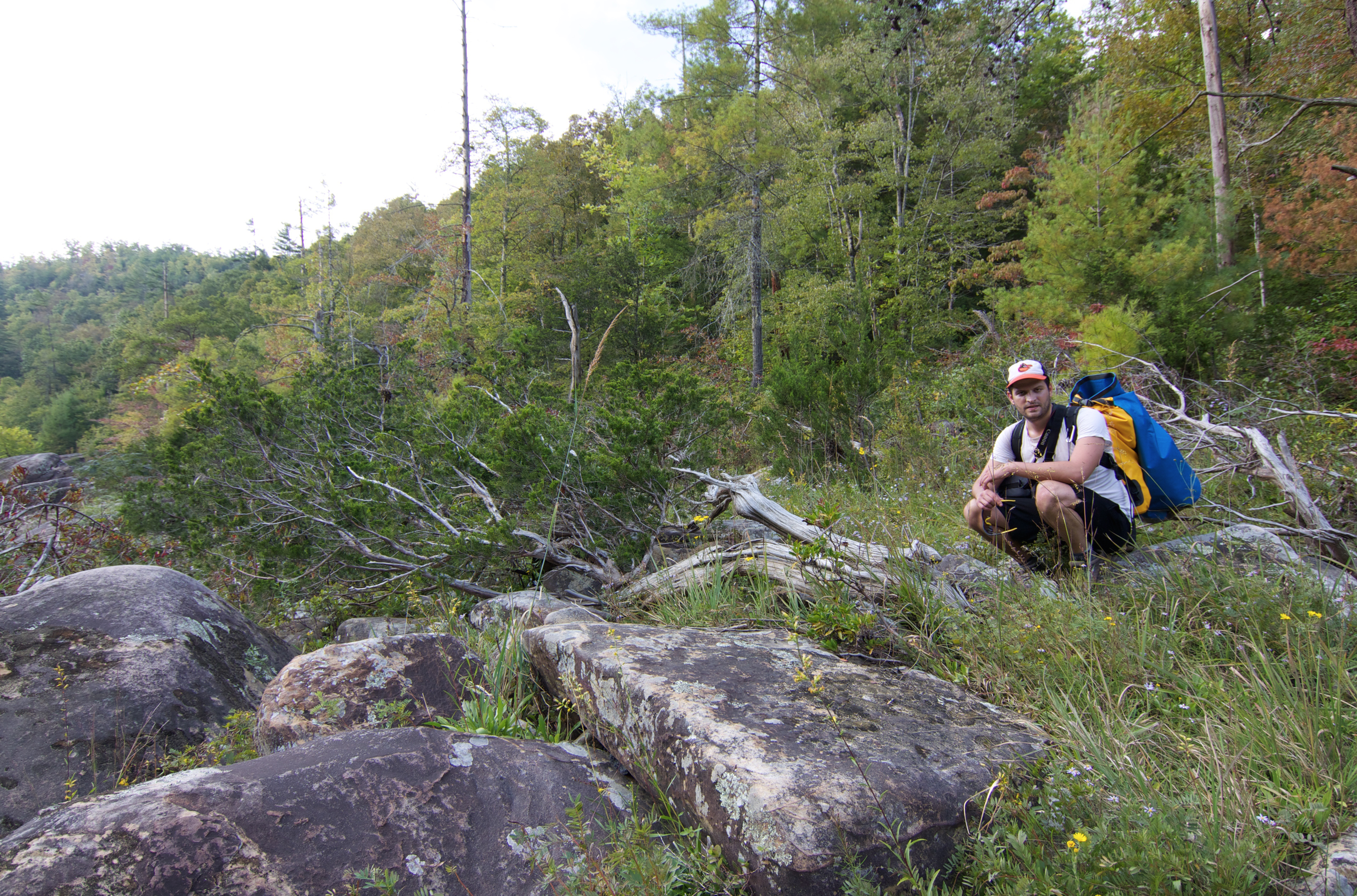 Former Austin Peay State University graduate student, Chris Mausert-Mooney, explores riverside sandstone boulder barrens along the Big South Fork River, Scott Co., Tennessee.