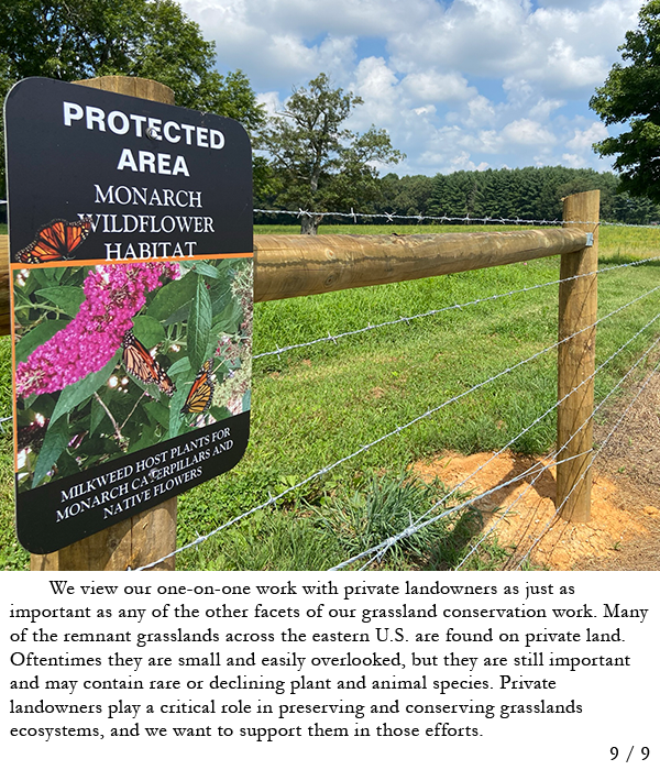 Monarch habitat sign on a barbed-wire fence. Story in caption.
