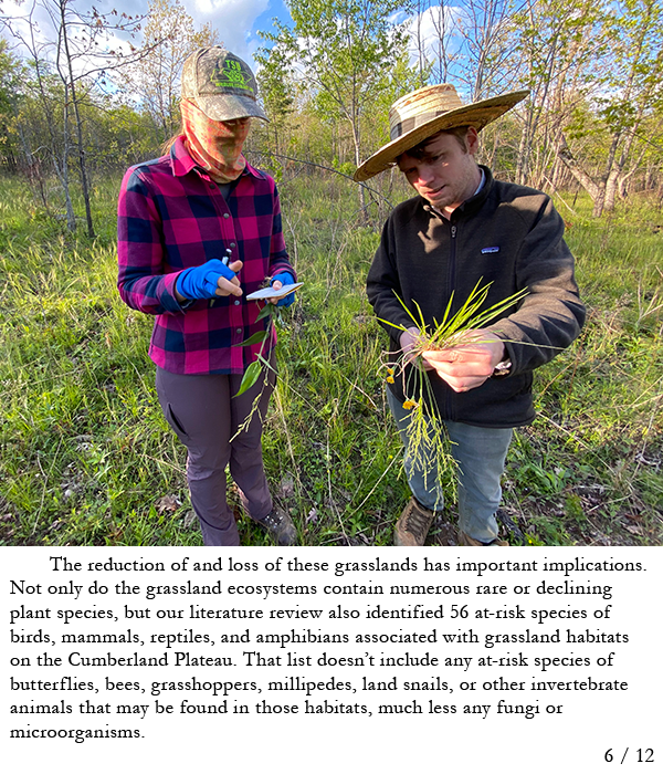 2 SGI staff members taking notes on a plant. Story in the caption.