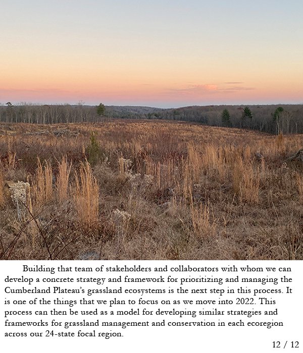 Sunset over a grassland on the Cumberland Plateau. Story in the caption.