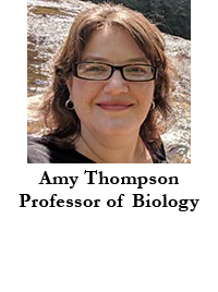 Amy Thompson, Professor of Biology