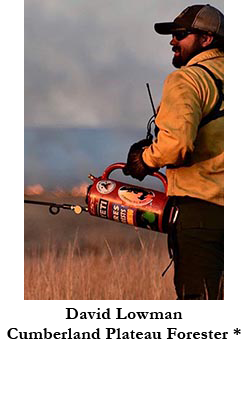 David Lowman, Cumberland Plateau Forester *