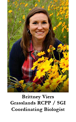 Brittney Viers, Grasslands RCPP / SGI Coordinating Biologist