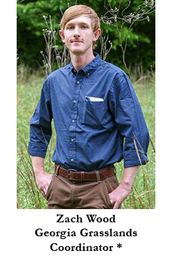 Zach Wood, Georgia Grasslands Coordinator *
