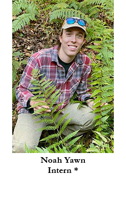 Noah Yawn, Intern *