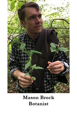 Mason Brock, Botanist