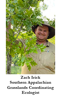 Zach Irick, Southern Appalachian Grasslands Coordinating Ecologist