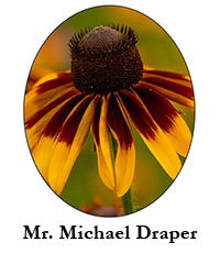 Mr. Michael Draper
