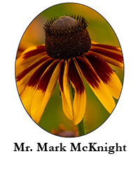 Mr. Mark McKnight