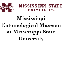 Mississippi Entomological Museum at Mississippi State University