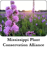 Mississippi Plant Conservation Alliance