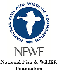 National Fish &amp; Wildlife Foundation