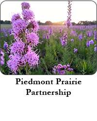 Piedmont Prairie Partnership