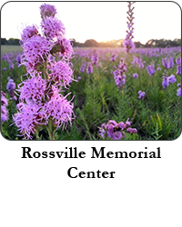 Rossville Memorial Center