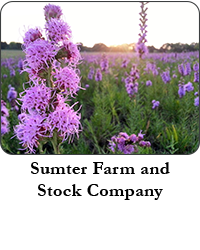 Sumter Farm and Stock Company