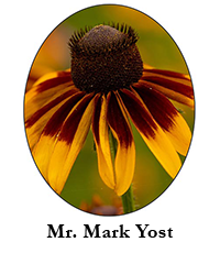 Mr. Mark Yost