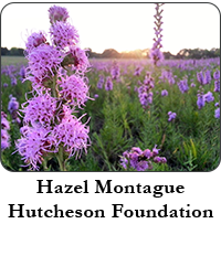 Hazel Montague Hutcheson Foundation