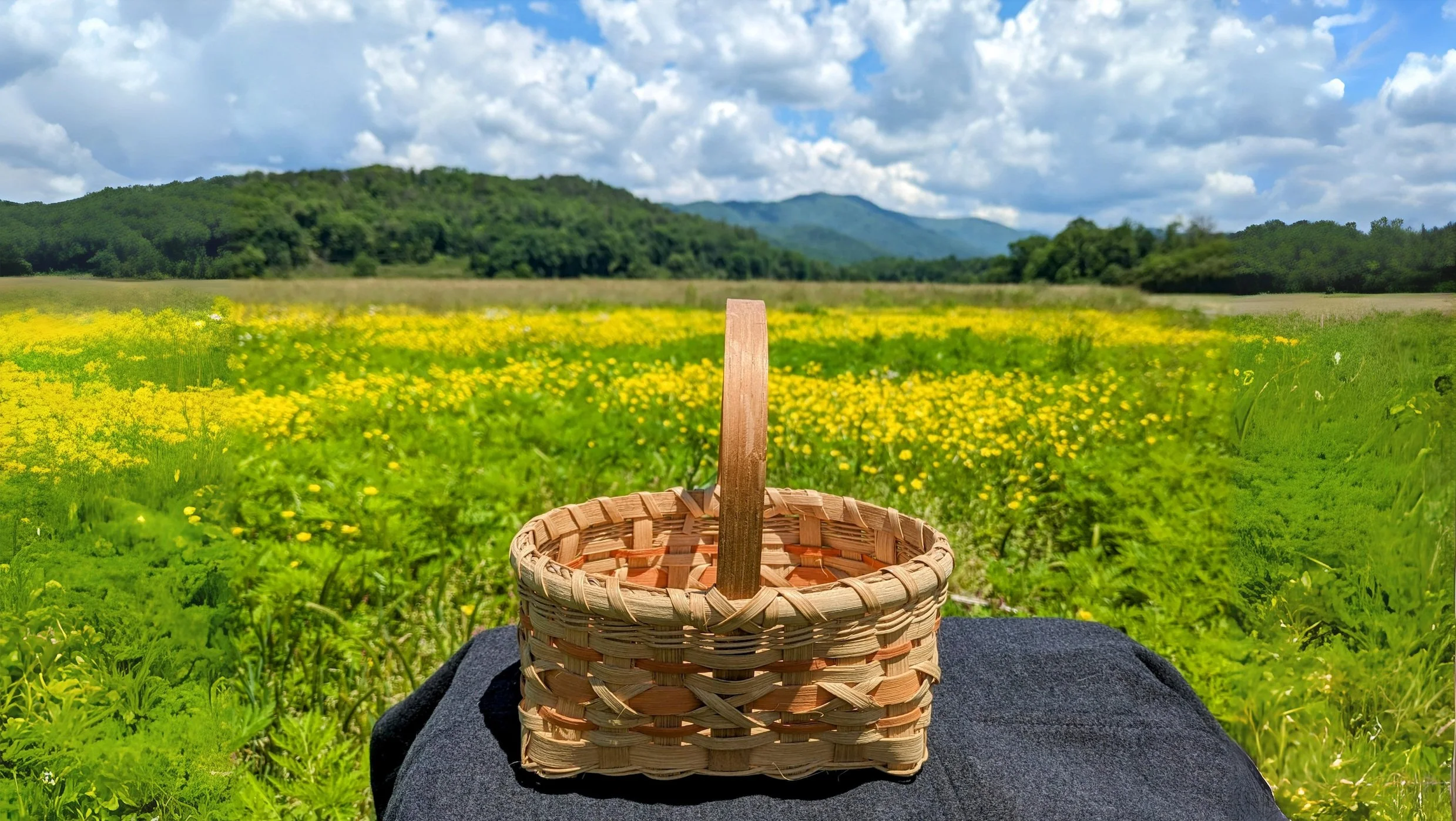 Embracing Indigenous Perspectives and Traditions in Grassland Conservation