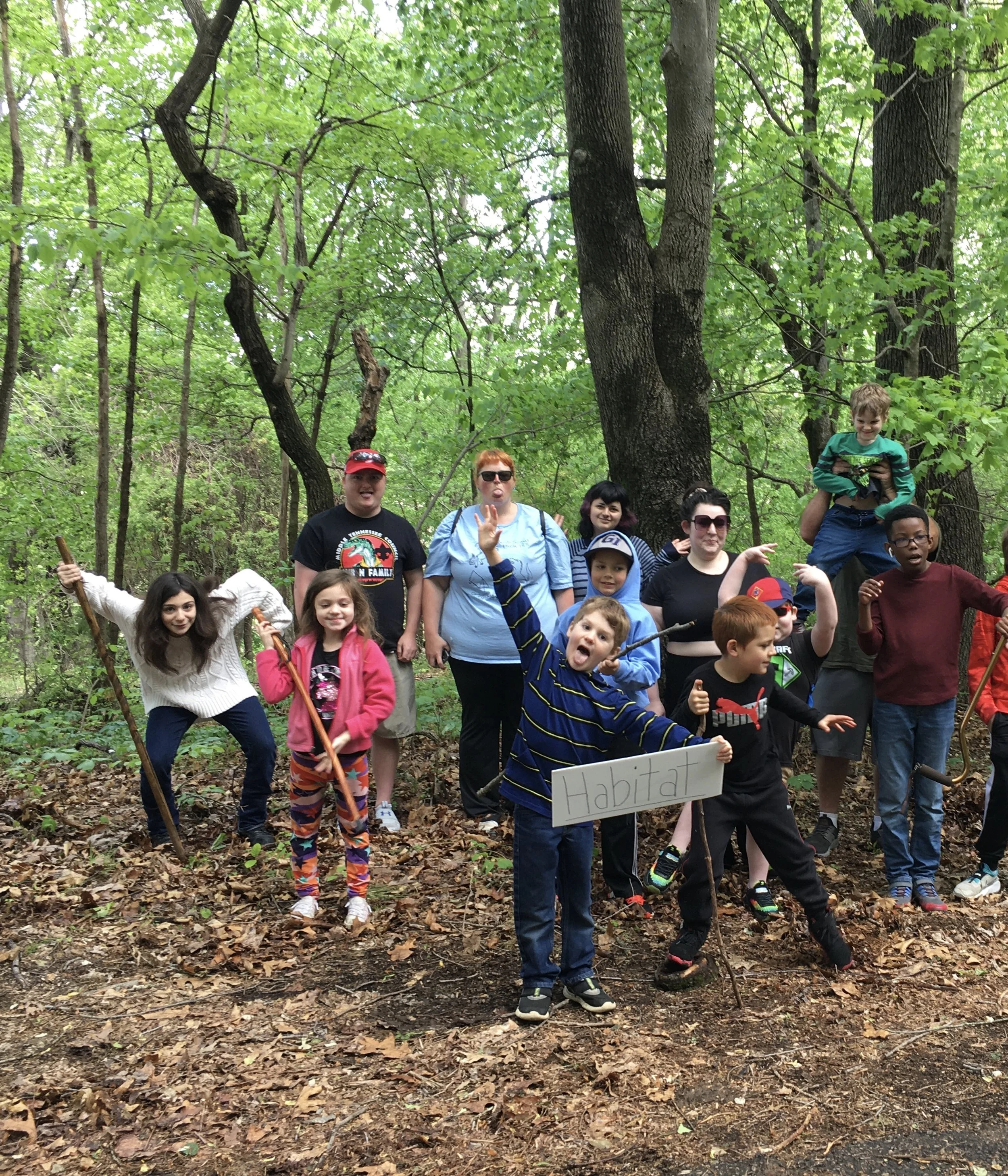 Vols and silly youth under trees.JPG