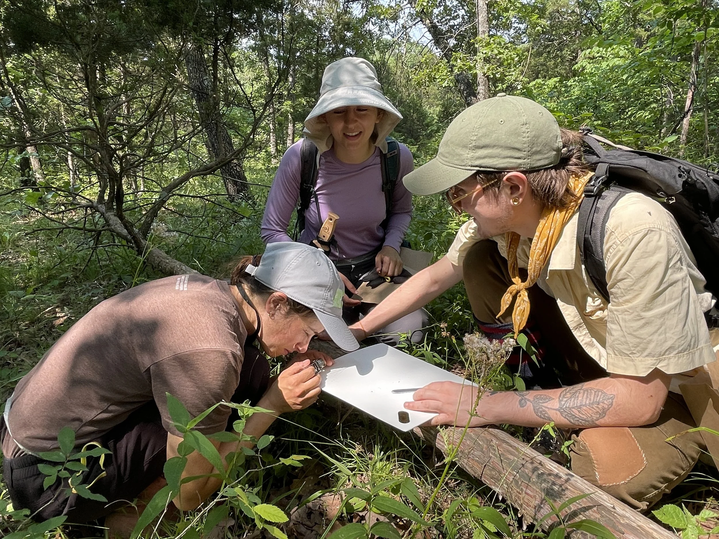 Seed collection field team examining seeds in field_Gus_Phoebe.JPG