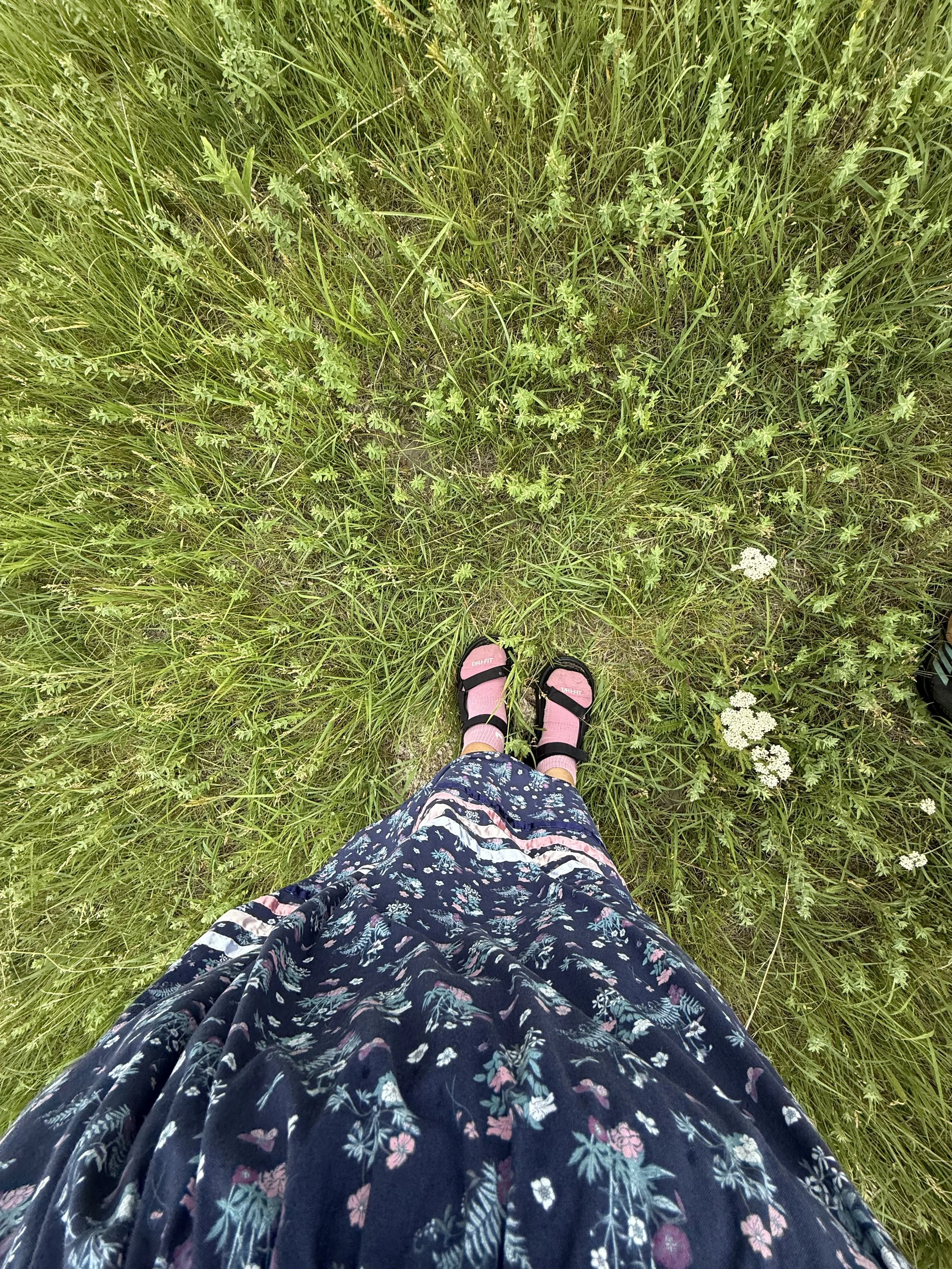 Katie_Feet in prairie.jpeg