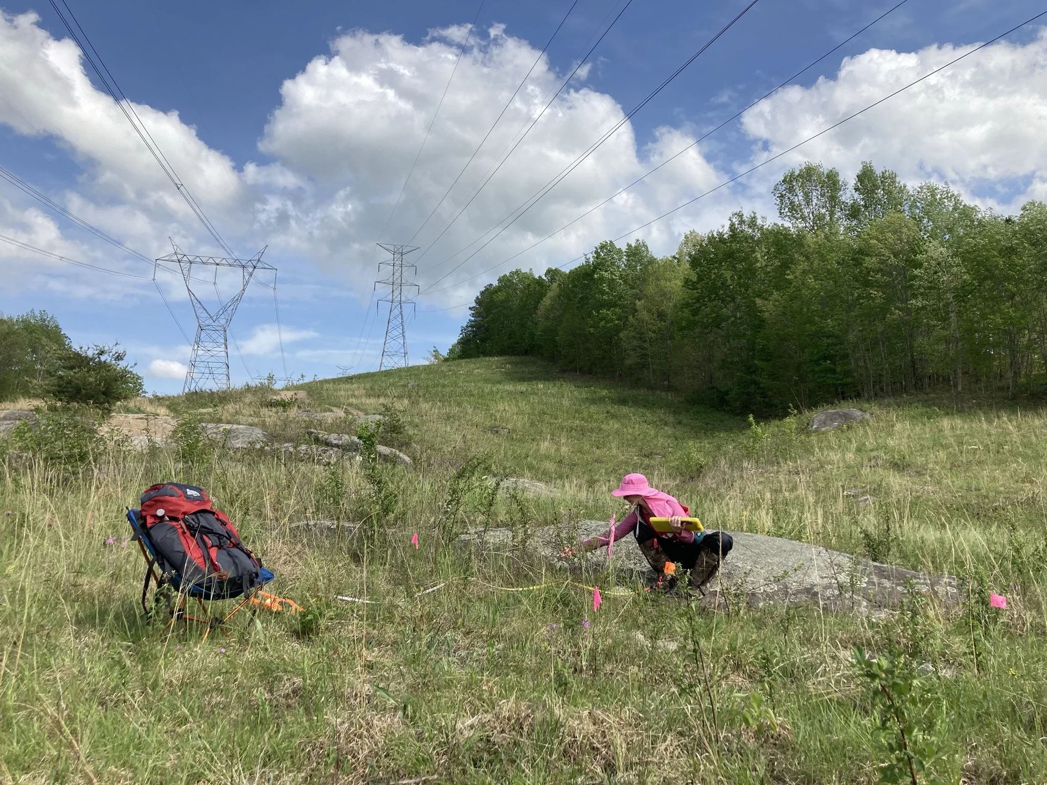  SGI Field Technician Brittney Georgic sampling remnant grassland vegetation in a Tennessee Valley Authority powerline right-of-way on the Cumberland Plateau of Tennessee. This work was part of a collaborative study by SGI, the Tennessee Valley Autho