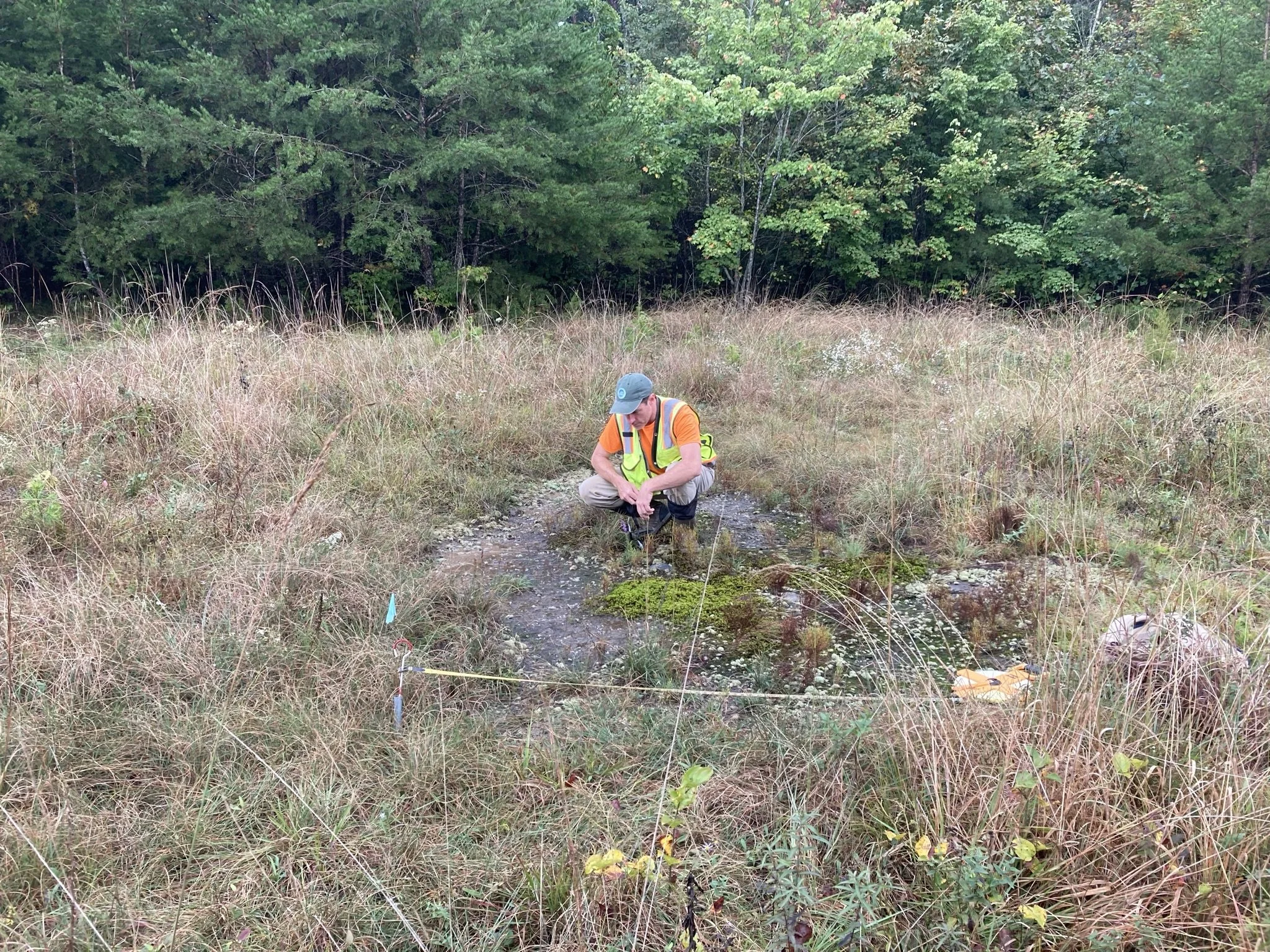 &nbsp;Tennessee Natural Heritage Program Ecologist Adam Dattilo sampling a Cumberland Plateau Sandstone Glade and Barrens community in a Tennessee Valley Authority powerline right-of-way at Laurel Snow State Natural Area in Tennessee. This work was 