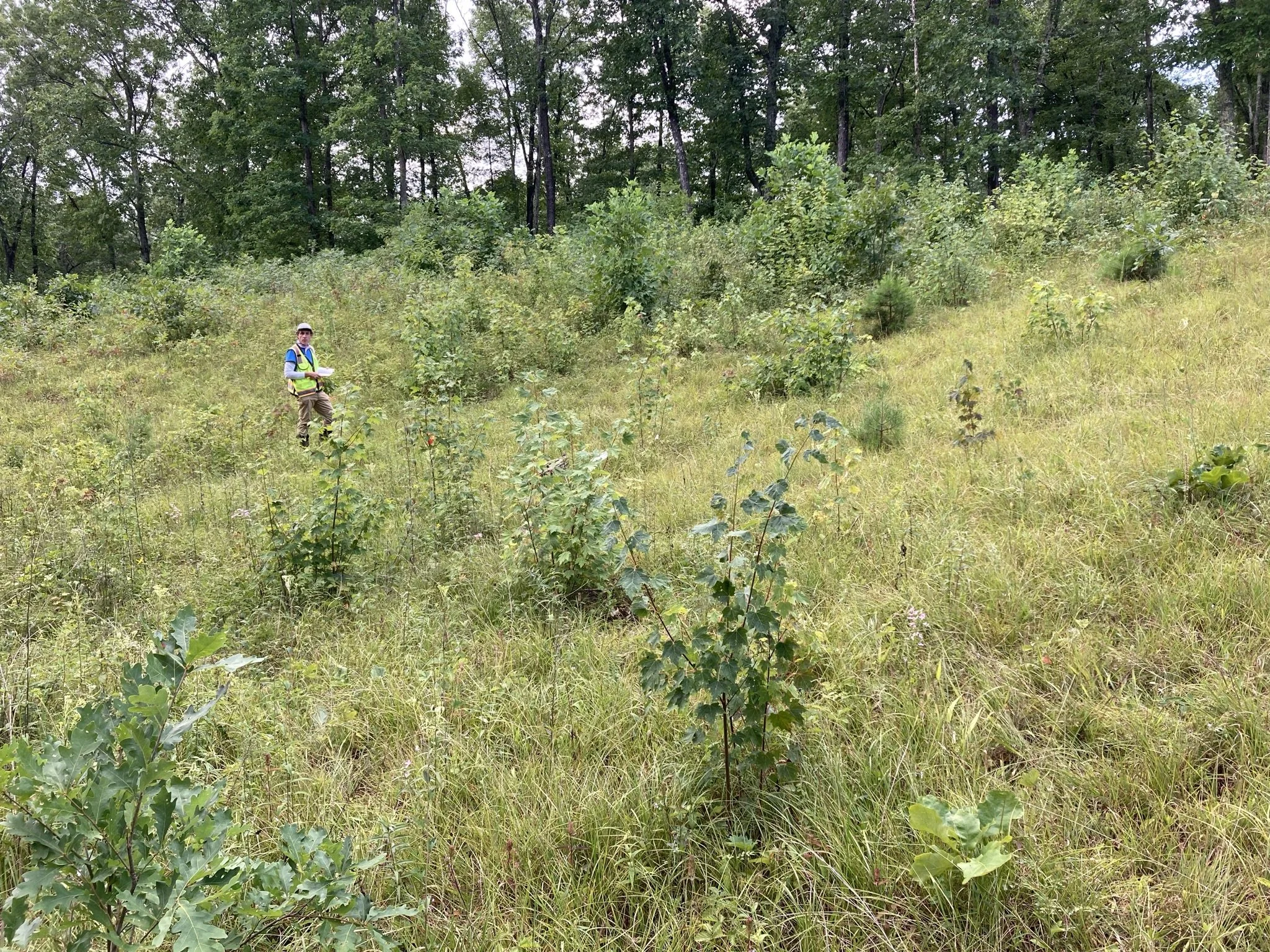  Tennessee Natural Heritage Program Ecologist Adam Dattilo sampling grassland flora in a Tennessee Valley Authority powerline right-of-way. This work was part of a collaborative study by SGI, the Tennessee Valley Authority, and the Electric Power Res