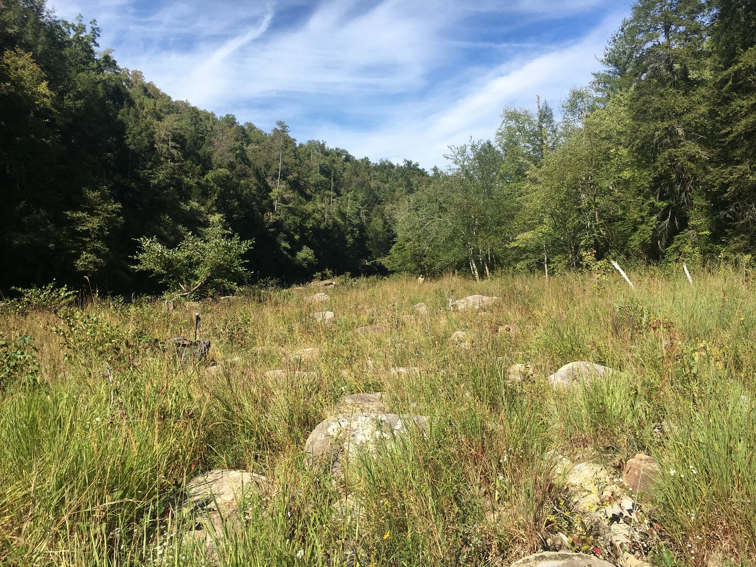  High-quality riverscour barrens along the Clear Fork River within the Big South Fork National River and Recreation Area in Tennessee. Photo by Theo Witsell.    