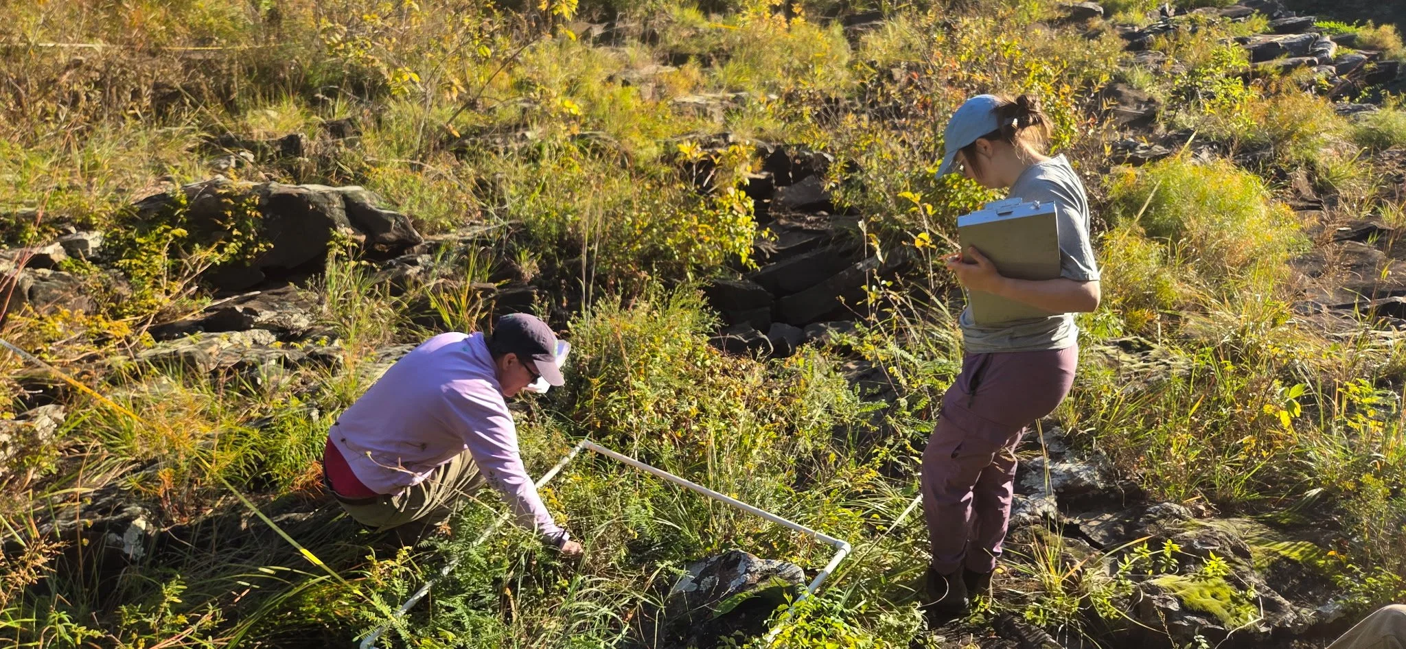  SGI’s Western Region Biologist Allison Wilson (right) and volunteer Virginia McDaniel (left) sampling an excellent-quality riverscour barrens on the Maumelle River in the eastern Ouachita Mountains. Photo by Ben Thesing.    
