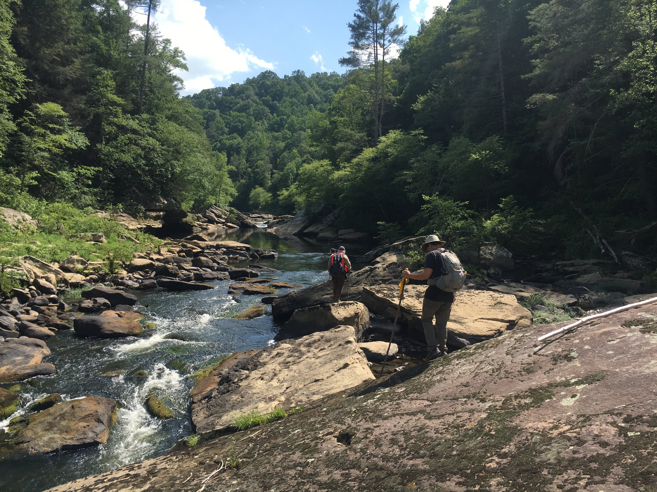  &nbsp;SGI’s Southern Appalachian Grassland Coordinator Zach Irick (center) and volunteer Ben Benton (foreground) conducting surveys of riverscour habitats along the Clear Fork River within the Big South Fork National River and Recreation Area in Ten