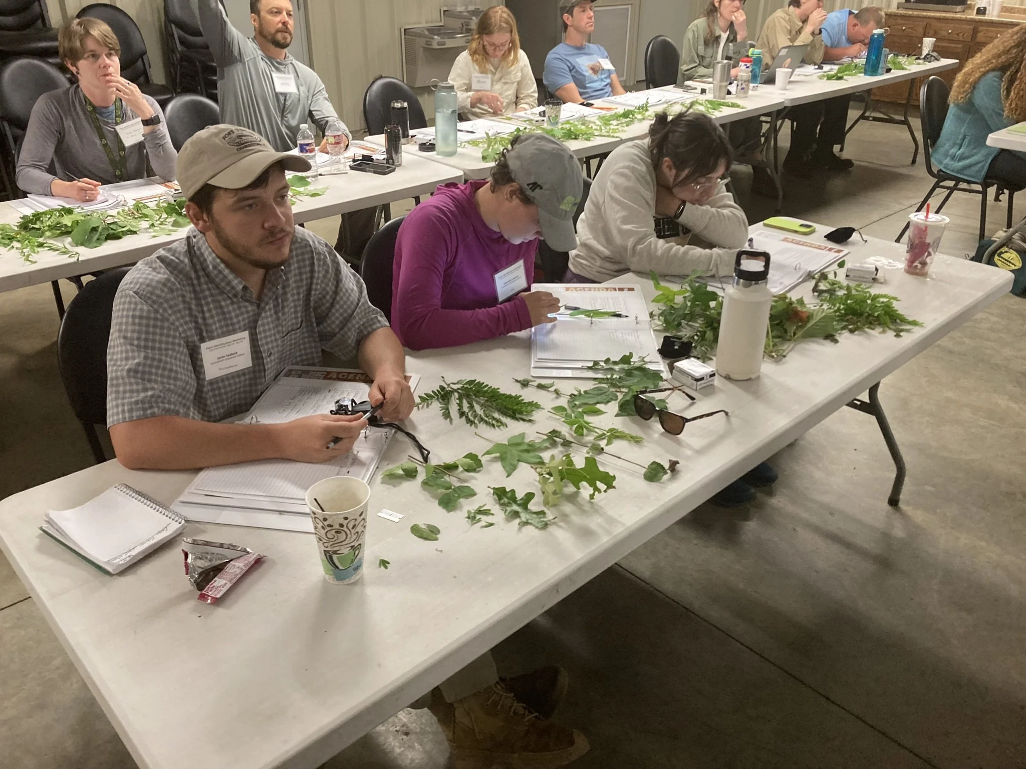  SGI field staff in a plant identification training at the Camp Robinson Special Use Area in Central Arkansas. Photo by Theo Witsell.    