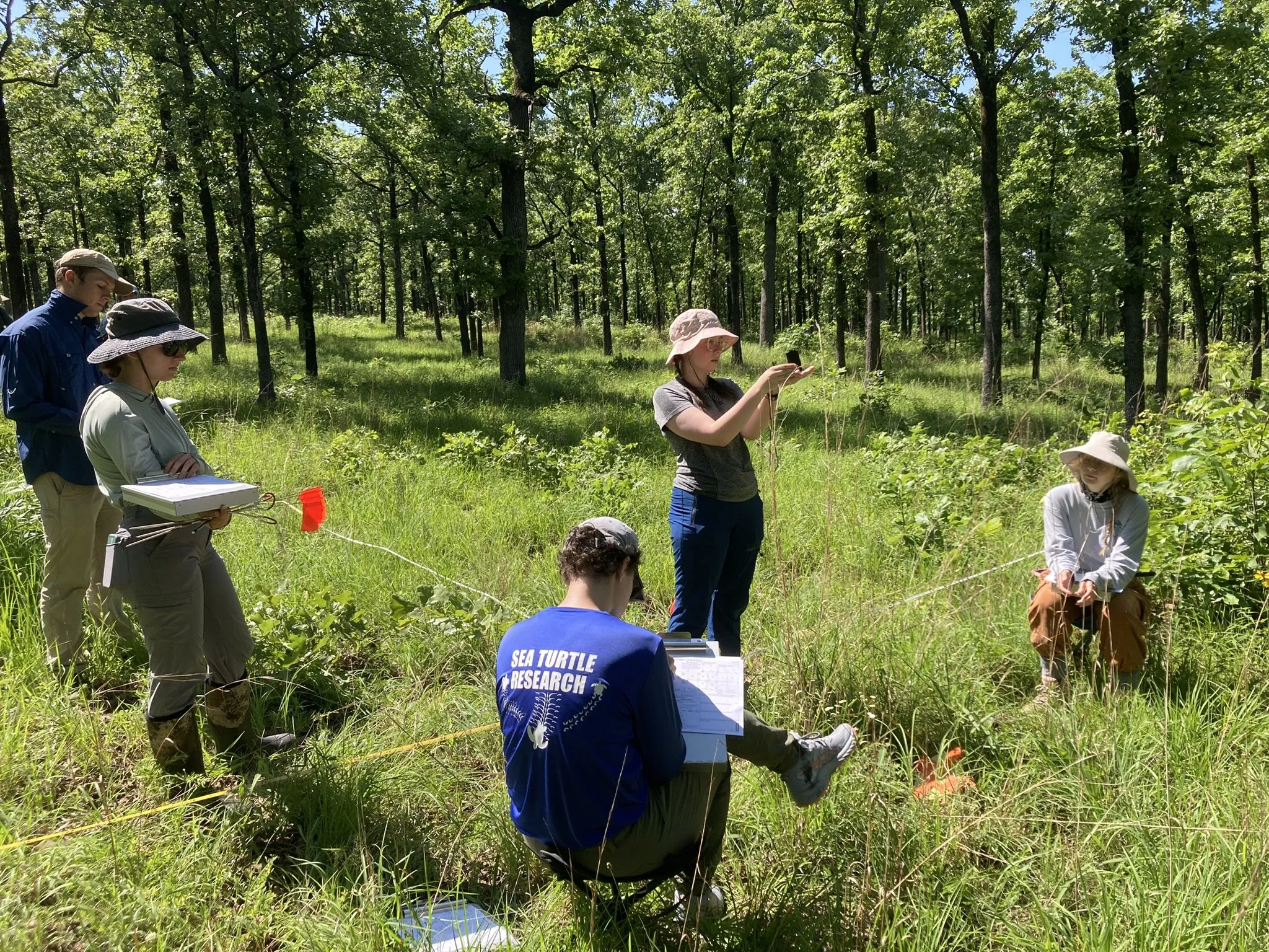  SGI field staff training in vegetation plot sampling in an old-growth post oak savanna/woodland complex at the Camp Robinson Special Use Area in Central Arkansas. Photo by Theo Witsell.    