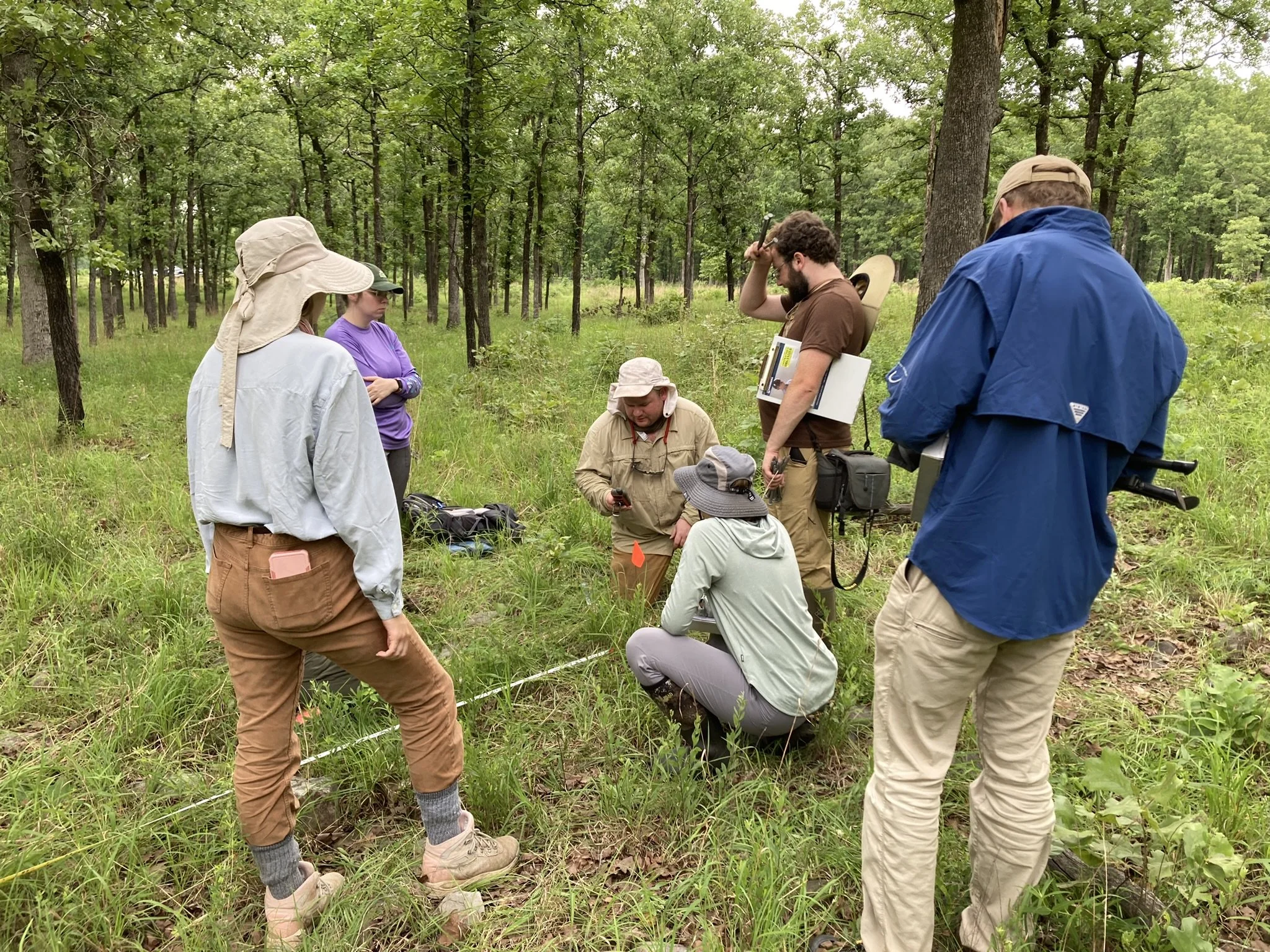  SGI field staff training in vegetation plot sampling in an old-growth post oak savanna/woodland complex at the Camp Robinson Special Use Area in Central Arkansas. Photo by Theo Witsell.    