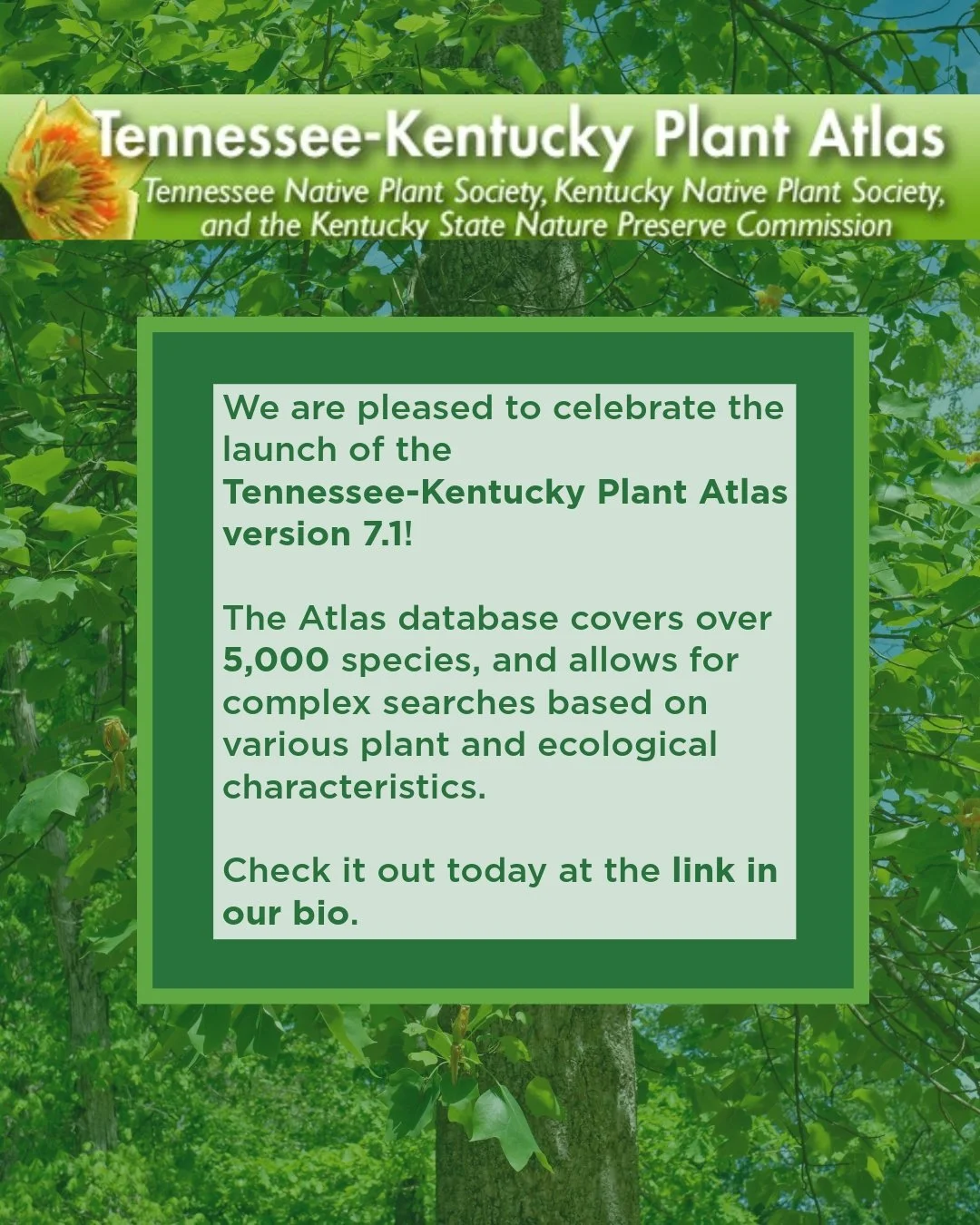 The newest version of the Tennessee-Kentucky Plant Atlas is live! Congratulations to Joey Shaw and all of the experts who helped with the updates, including nomenclature changes, new data on c-values and S-ranks, and over 23,000 live plant images for
