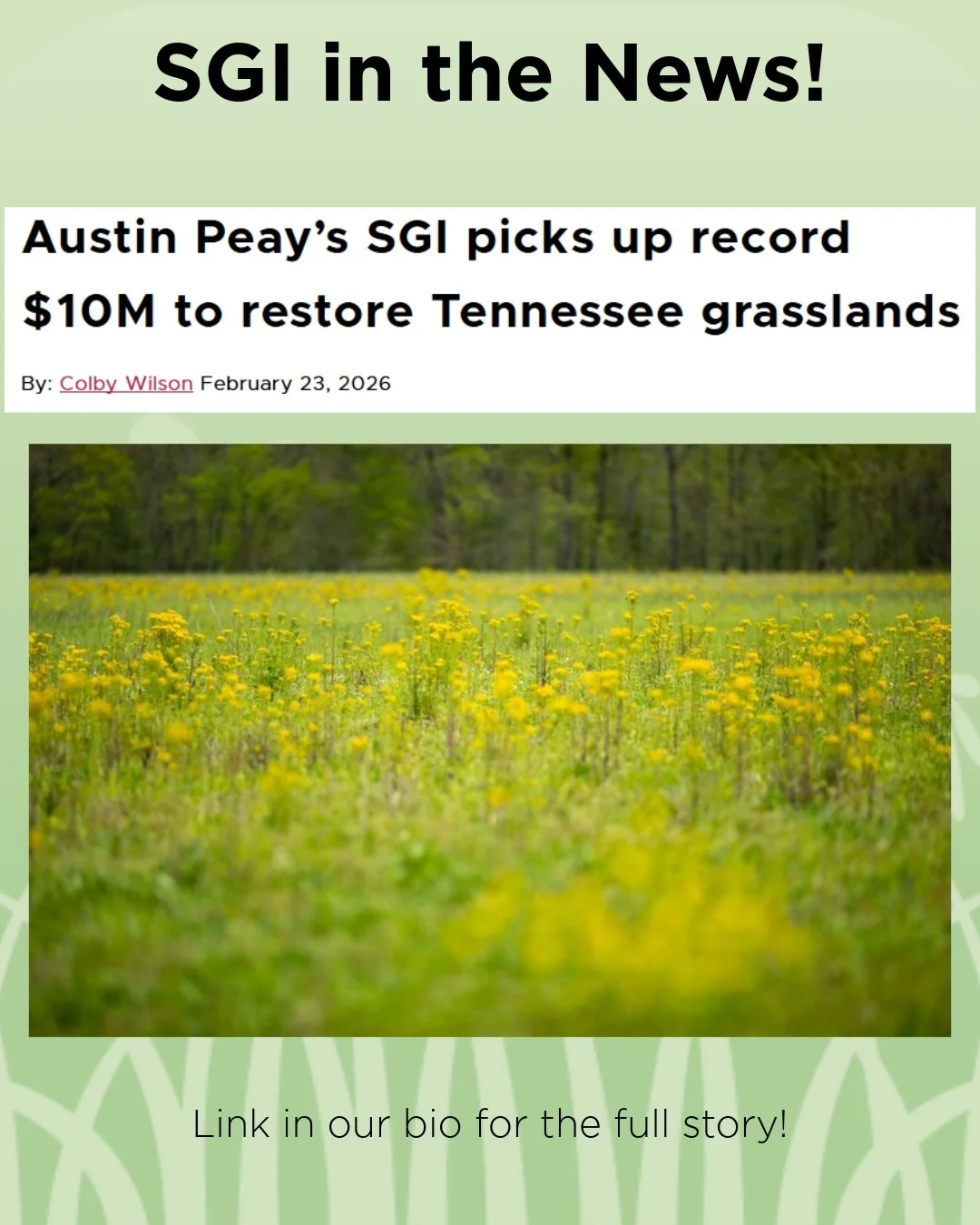 SGI is pleased to announce our work has been funded by the National Fish and Wildlife Foundation to identify, restore, and reconstruct approximately 2,500 acres of grasslands in Central Tennessee over the next four years. We are very grateful to all 