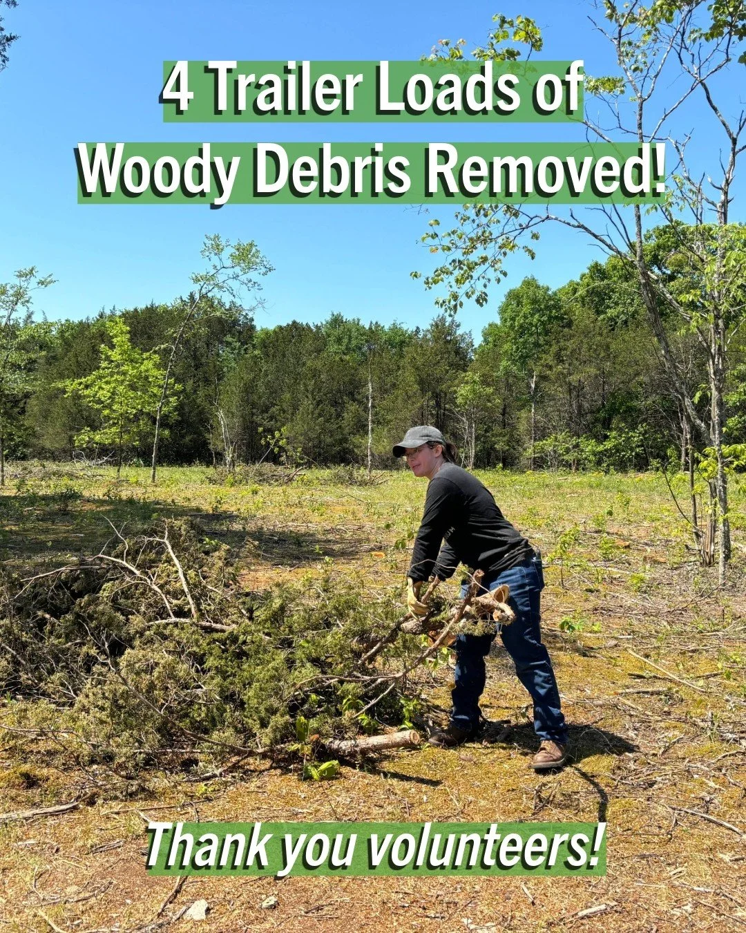 🪾Last weekend, volunteers removed four trailer loads of woody debris to support glade restoration at Stones River National Battlefield last weekend! Many thanks to community members who came out to help us restore the limestone cedar glades. We are 