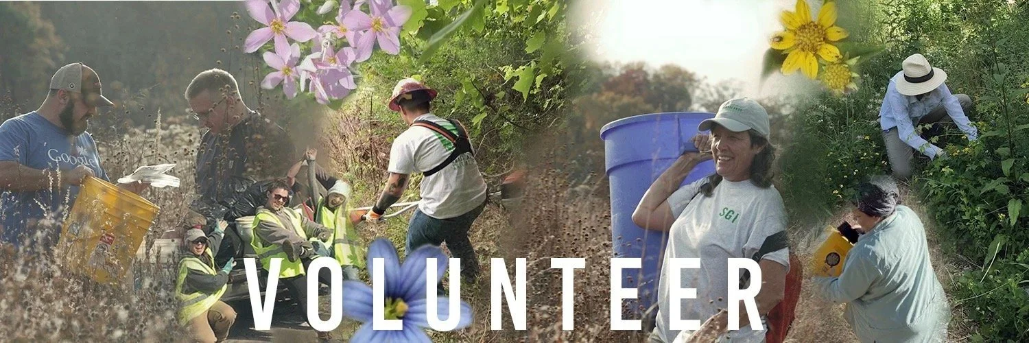 Volunteer Banner_SGI website.jpg