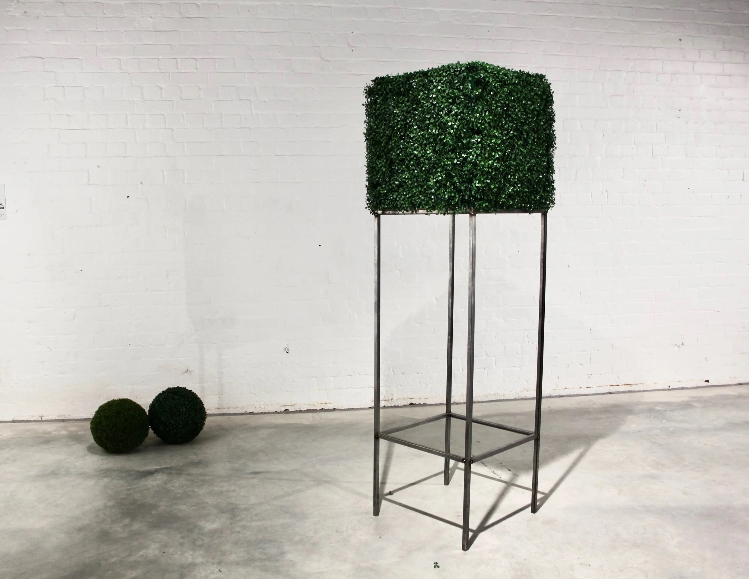 "Box Hedge" 2018