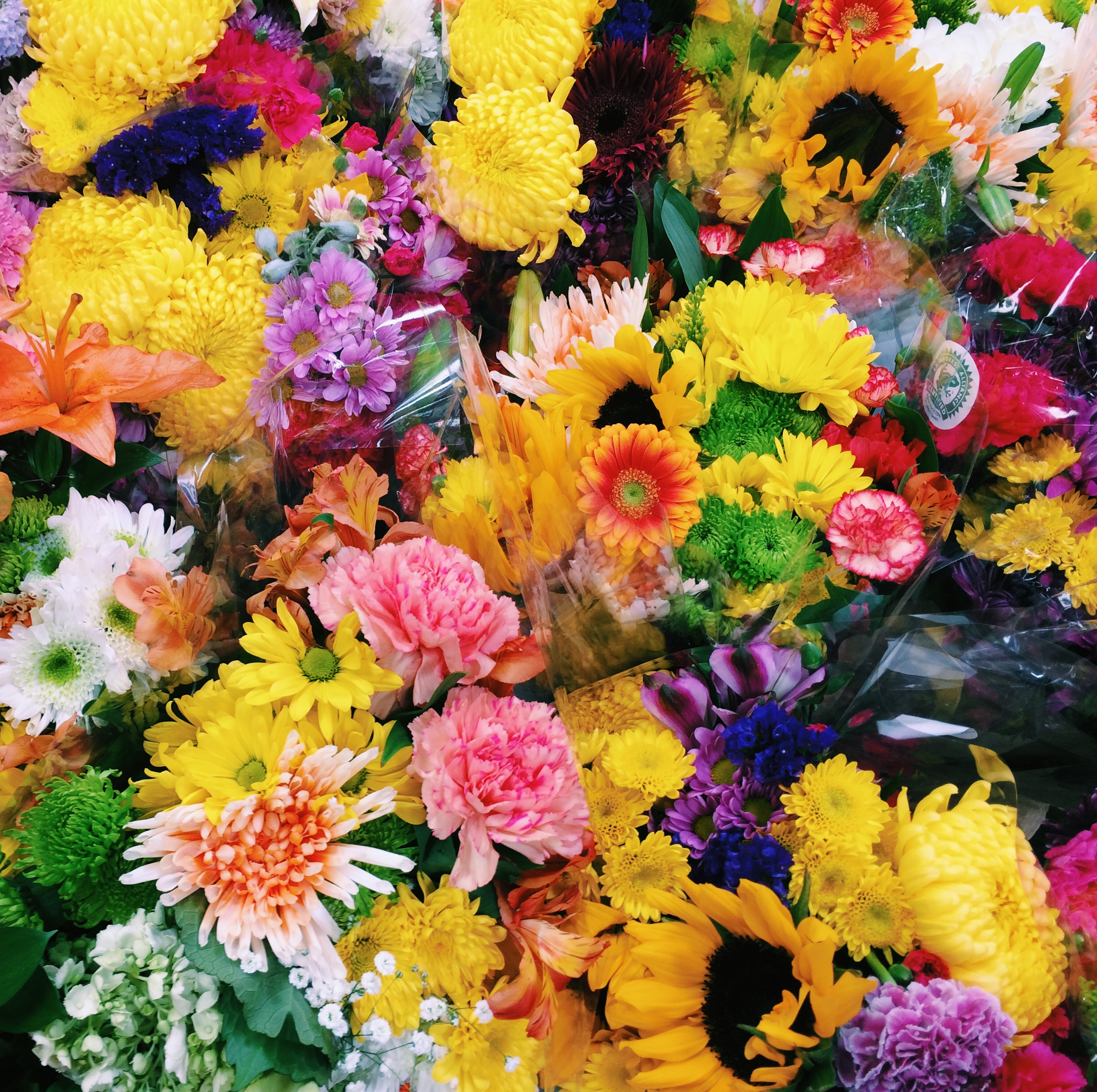Jumbo Bouquets