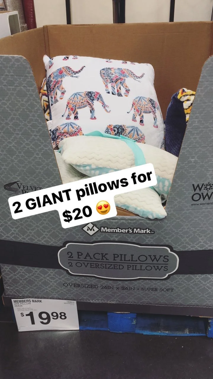 2 Pack Pillow Set Sam S Simple Savings