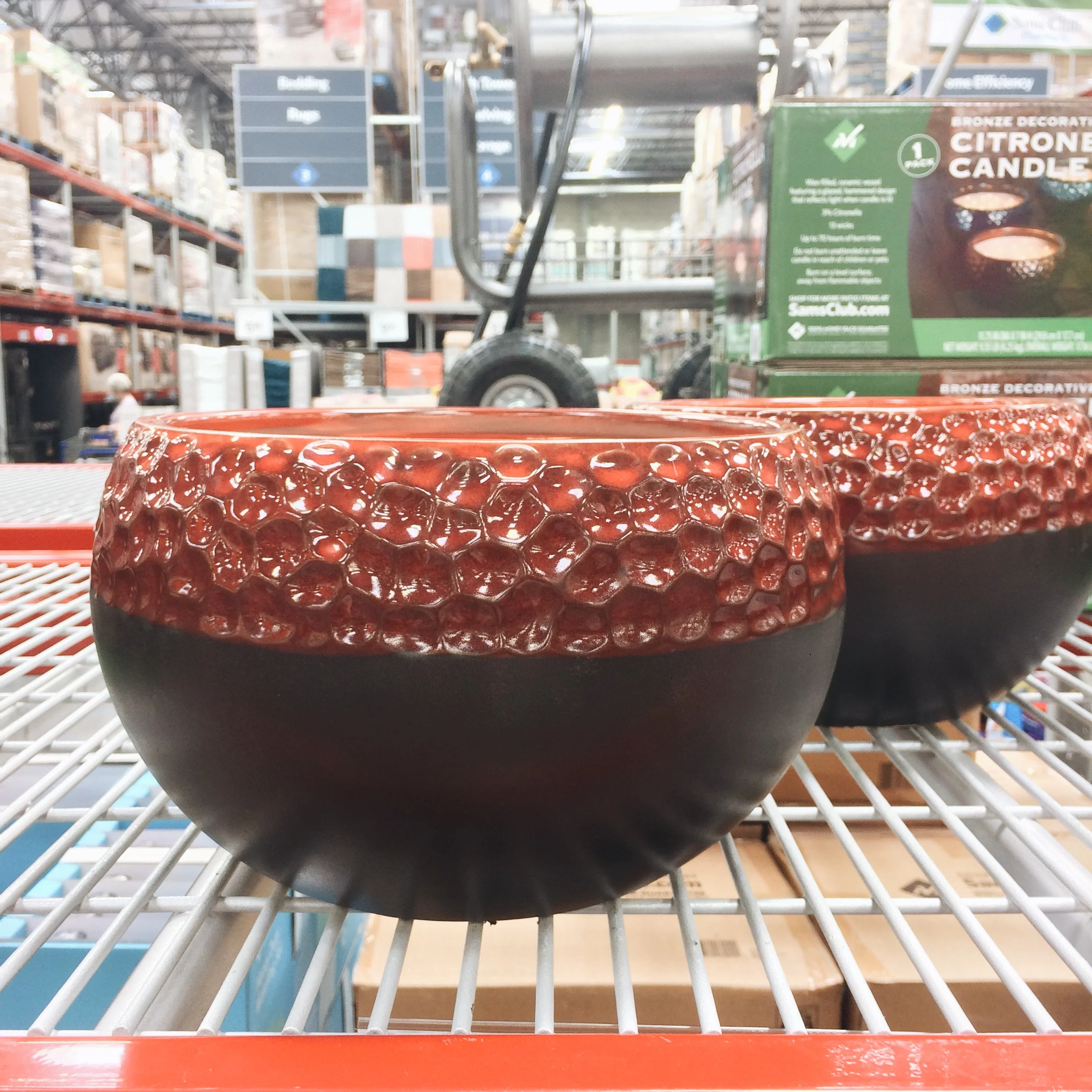 Citronella Candles (4-pack)