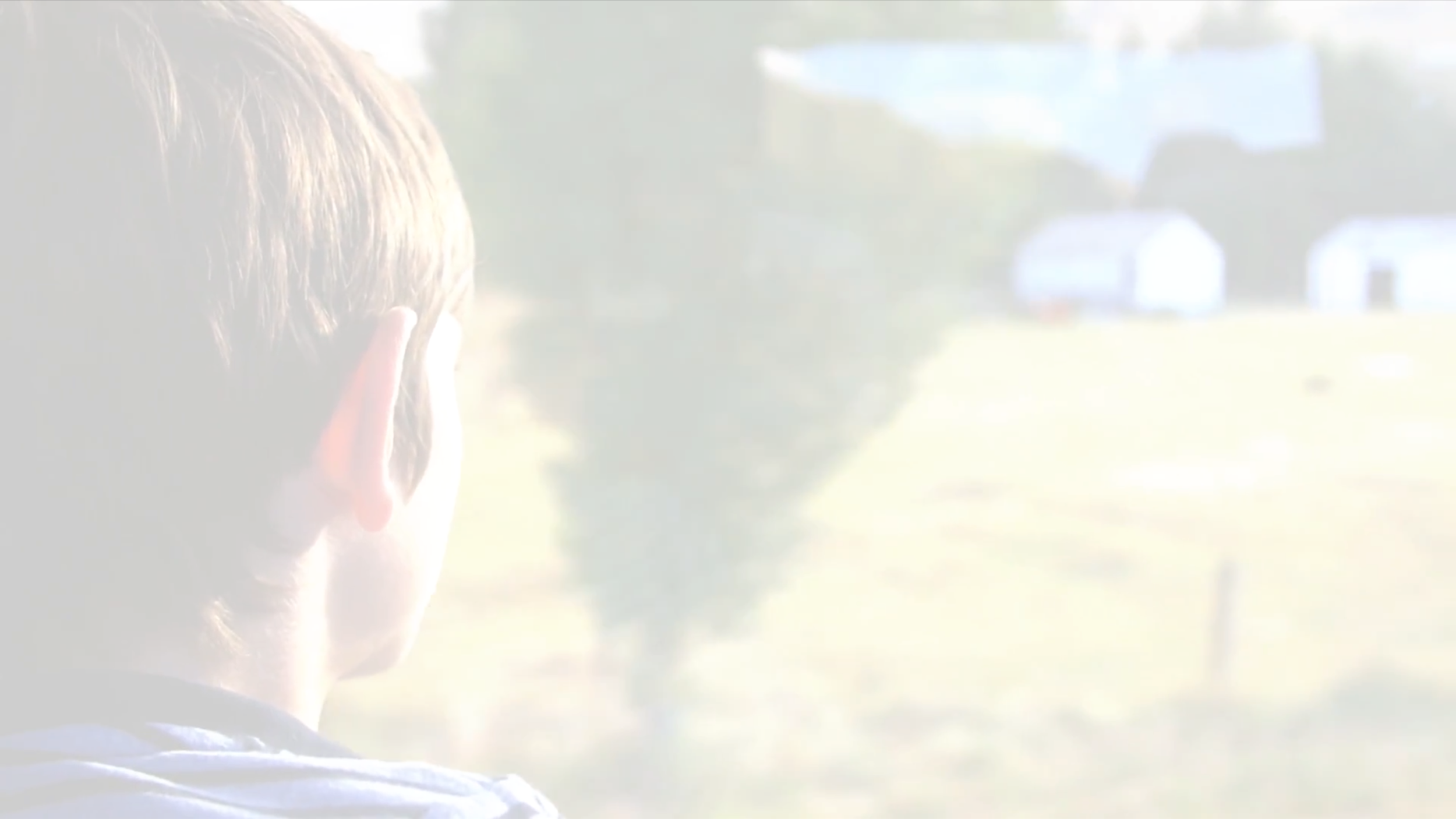 Screen Shot 2017-05-16 at 12.53.13 AM.png