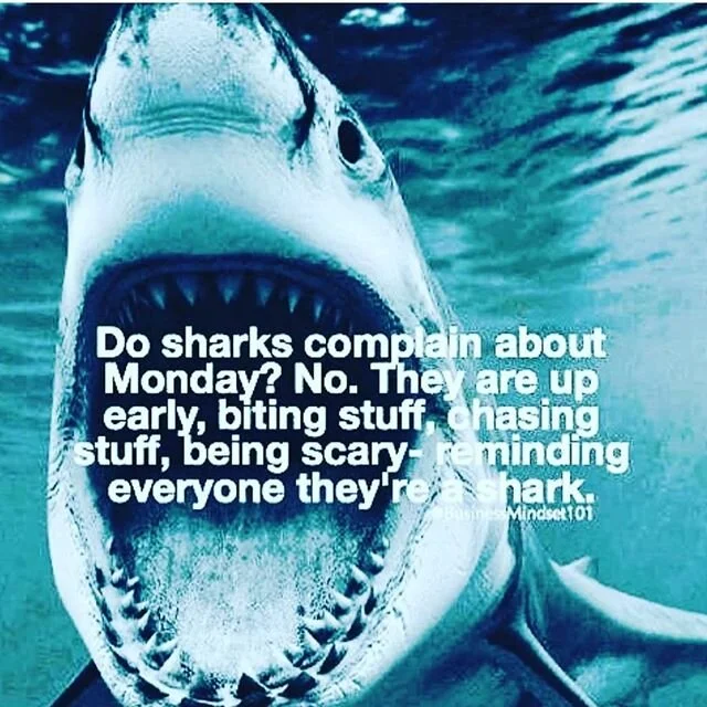 More like a hummingbird, pollinating everything, yet I dig the position. 🌙 G'night Monday.
.
.
#holyholyholy #holycuriosity #divinity #inspiredmind #50shadesofspirituality #optimystic #mindastronaut #prayer #fairytale #aho