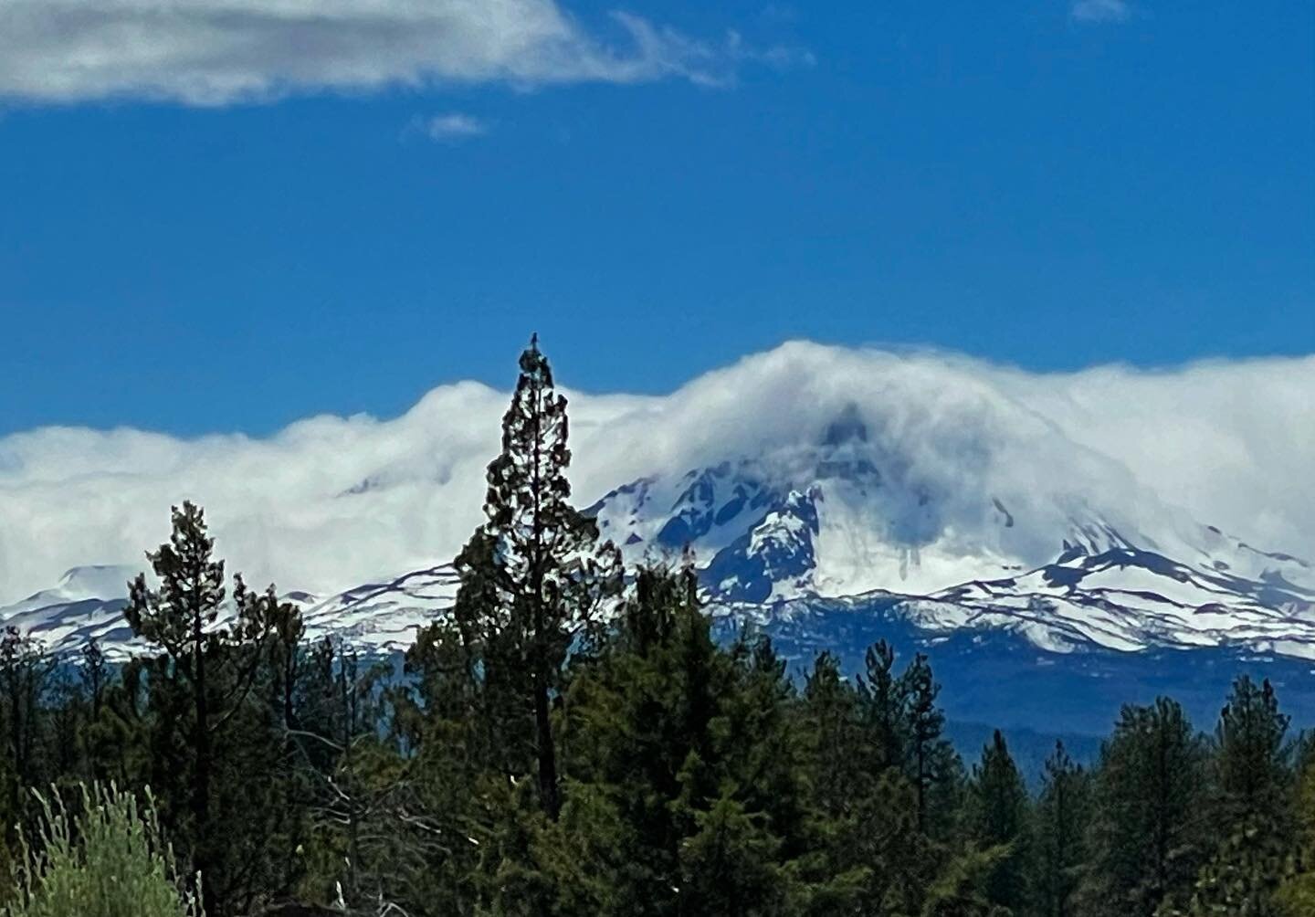 This view never gets old!
.
.
.
#sistersmountains #sisterscountry #bestofbend #highdesert #centraloregonlife #centraloregon #cascadia #cascadiaexplored #ranchlife #farmlife #ragstowalkersranch #mountainview #summer2022 #pnw #pnwonderland #travelorego