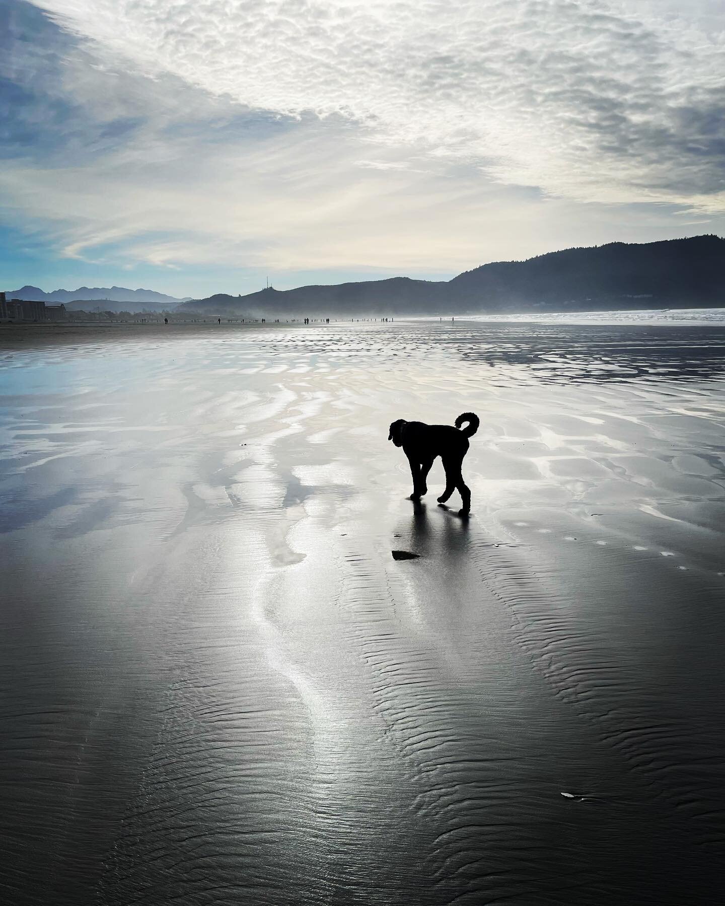 Beautiful weekend at the coast!
.
.
.
#dontforgetthedog #oregoncoast #beach #winter2022 #traveloregon #bestoforegoncoast #seaside #northoregoncoast #walking #cascadiaexplored #exploreoregon #neartheboardwalk