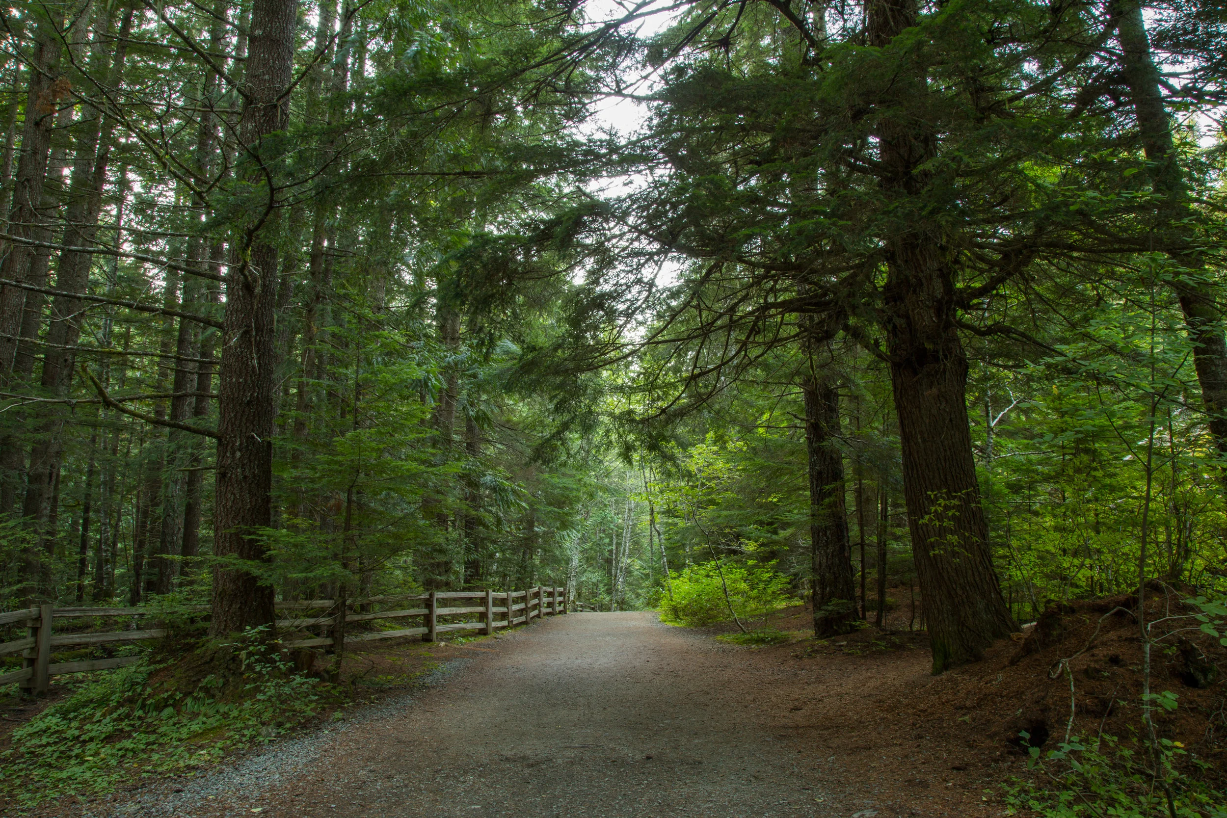 WHISTLER-30.jpg