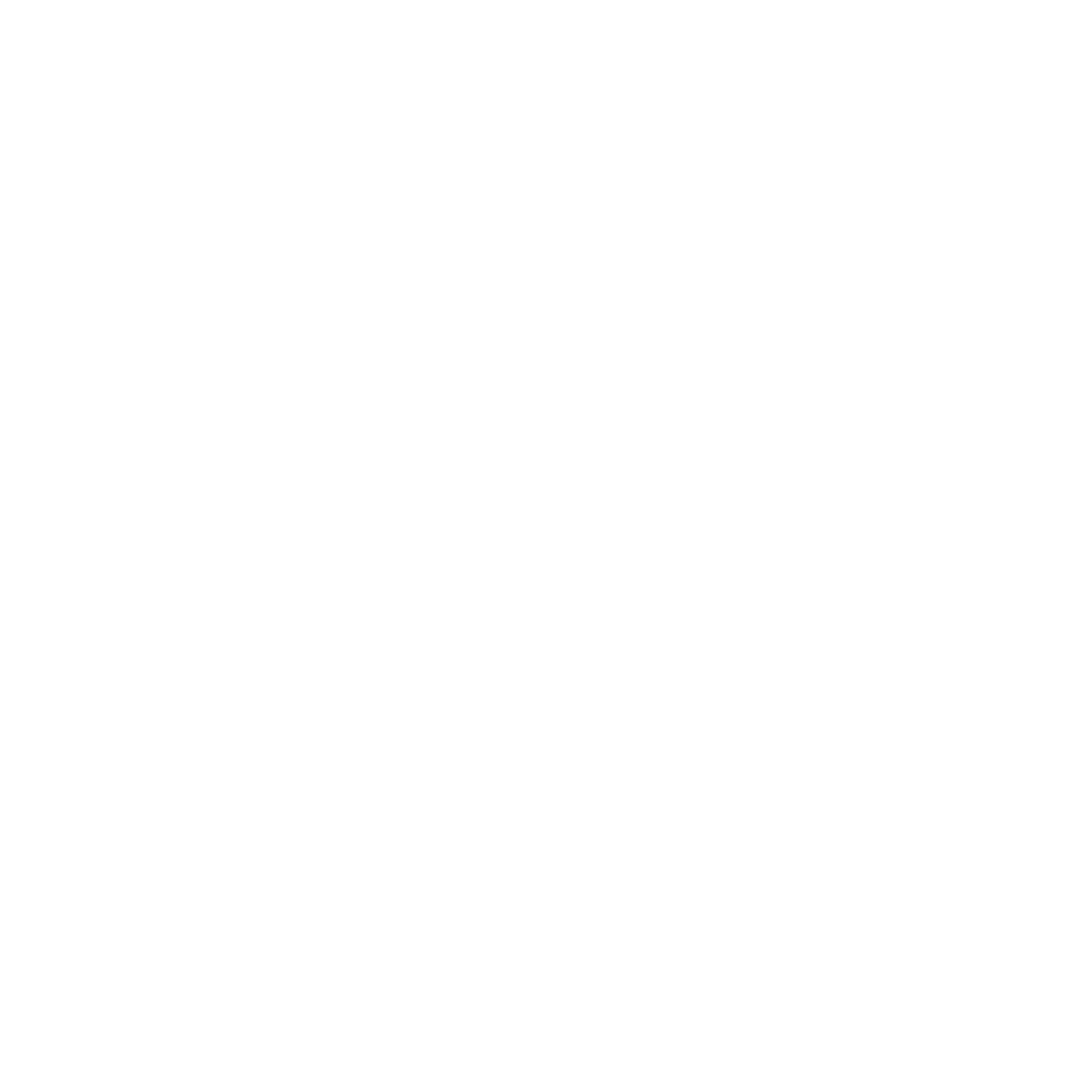 noun_933088_ffffff.png